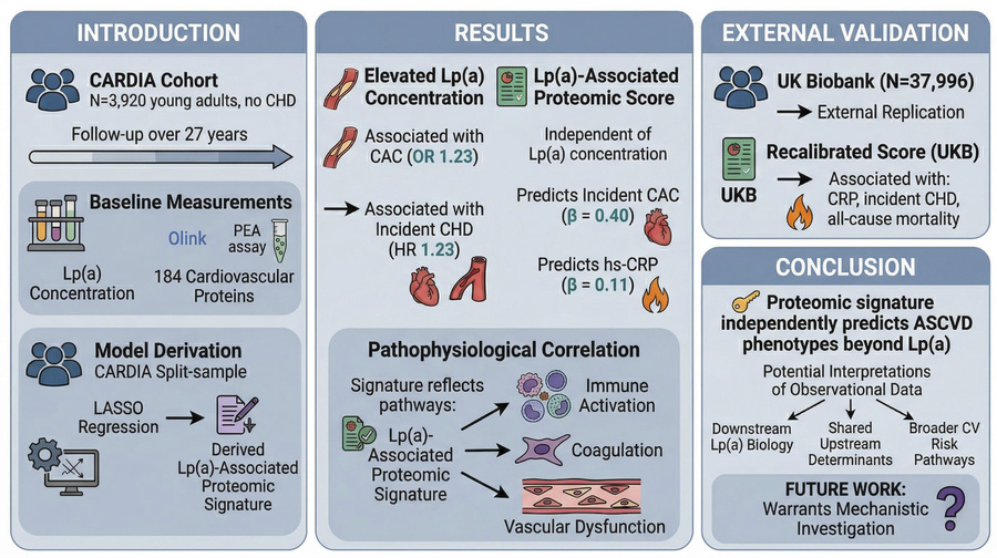 graphical abstract