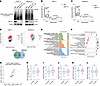 METTL1 depletion leads to valine codon–biased changes in mRNA translation.