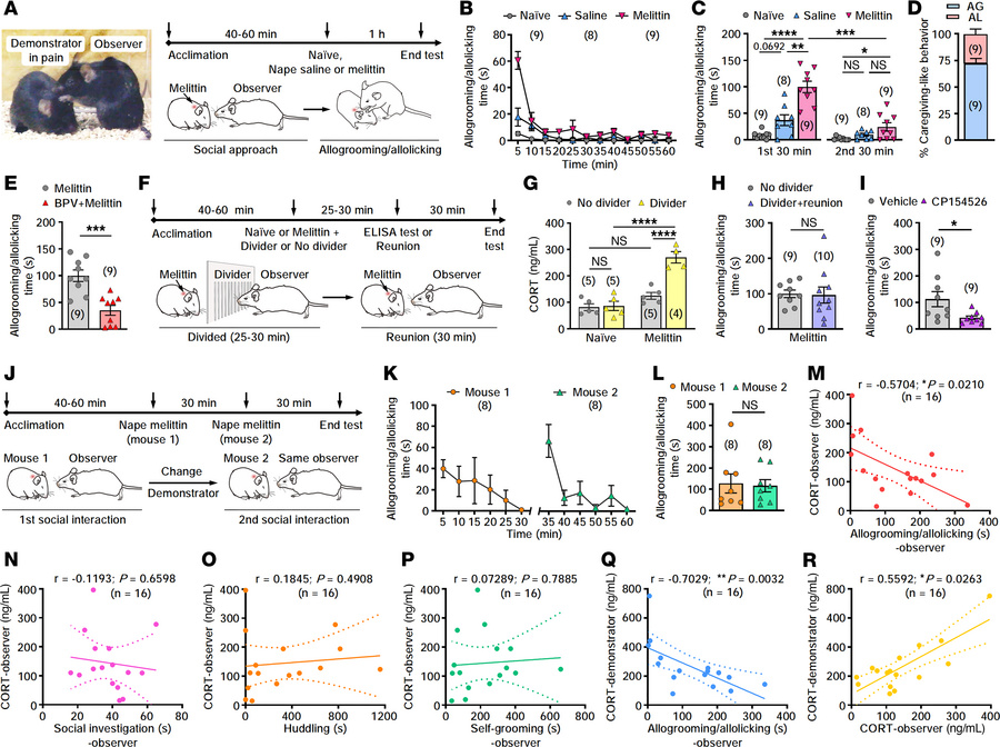 Stress coping and buffering nature of caregiving-like behavior in mice.
...