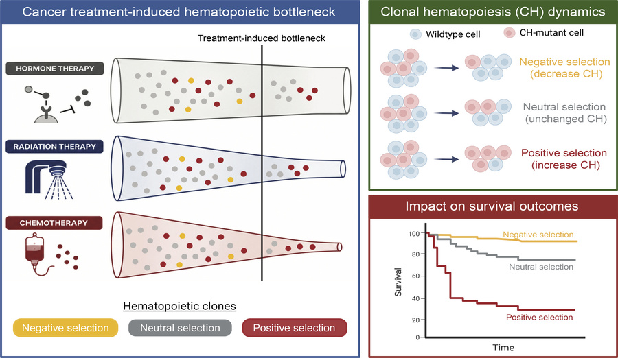 graphical abstract