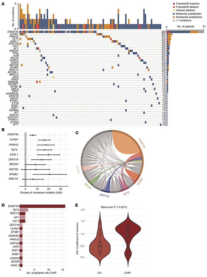 Mutational spectrum and diversity of CH prior to treatment for breast ca...