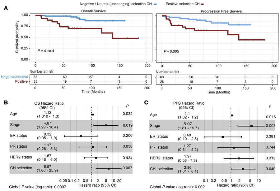 Positive selection of CH affects patient survival.
(A) Differences in OS...