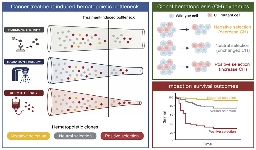 graphical abstract