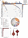Mutational spectrum and diversity of CH prior to treatment for breast cance