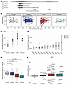 CH mutational dynamics during breast cancer treatment.