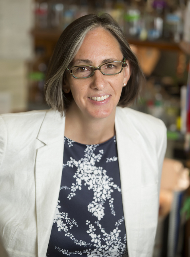 W. Kimryn Rathmell is the recipient of the 2025 Stanley J. Korsmeyer Award.