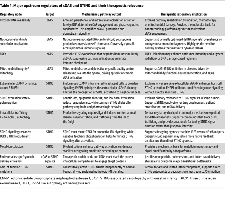 Major upstream regulators of cGAS and STING and their therapeutic relevance