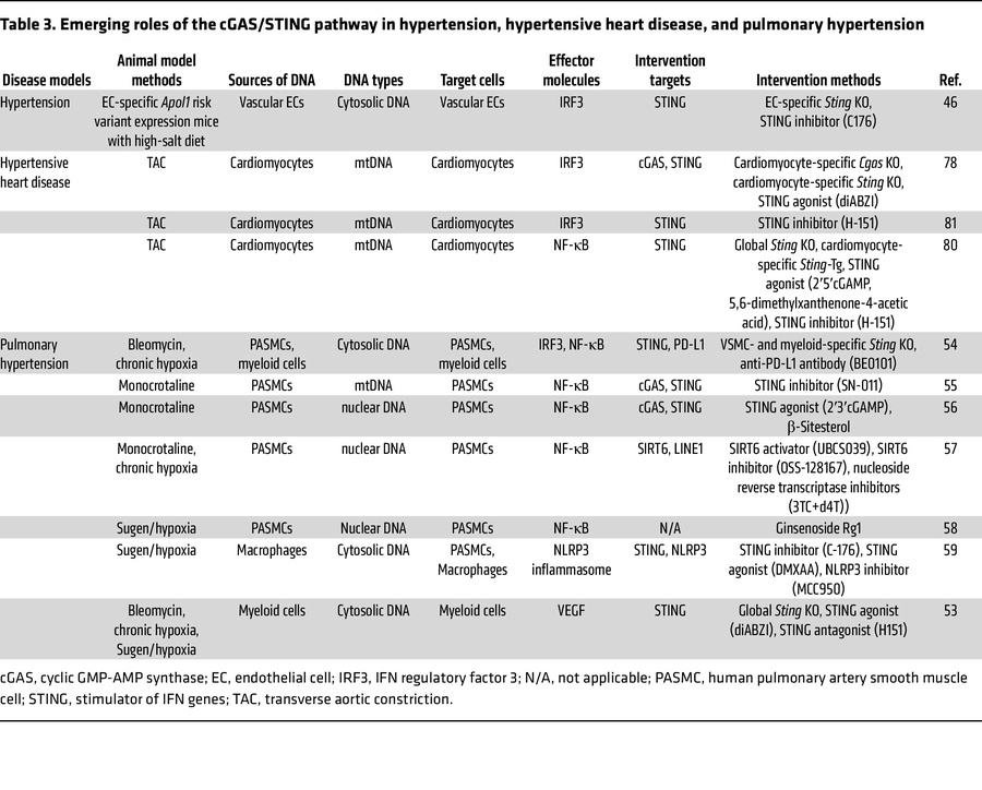 Emerging roles of the cGAS/STING pathway in hypertension, hypertensive h...