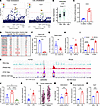 Association between SNPs in SEC16B gene and plasma cholesterol in humans an