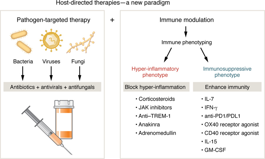 Host-directed therapies.
In addition to antibiotics, immune modulatory t...