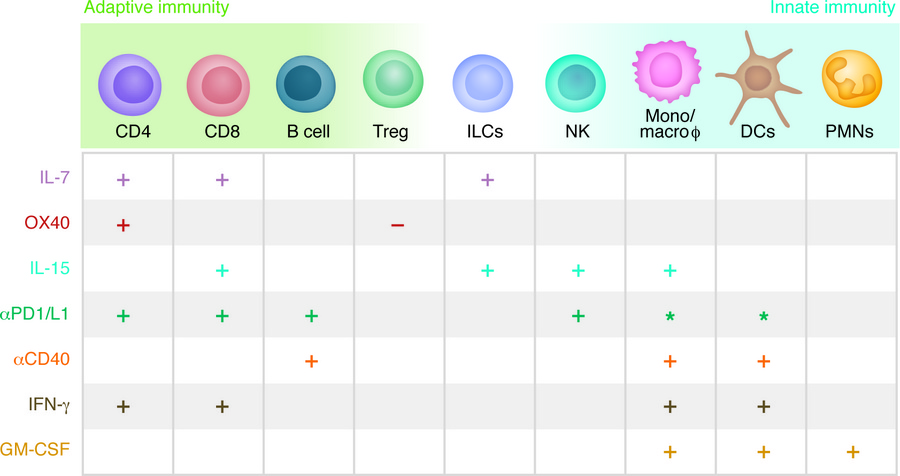 Host-directed therapies targeting adaptive and innate immunity.
Specific...
