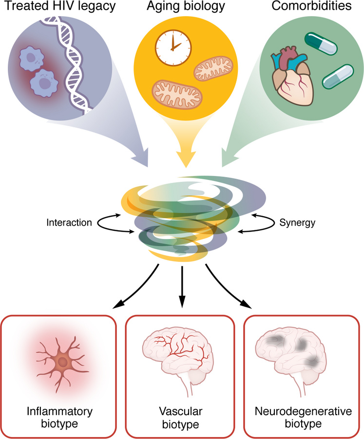 Evolving frameworks: the convergence of HIV, aging, and comorbidities in...