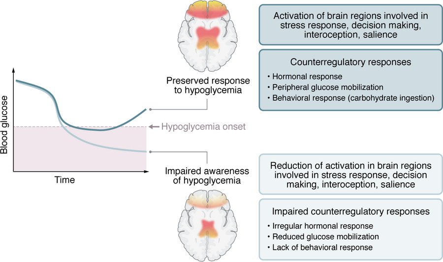 Altered CBF responses associated with IAH may underlie ineffective count...
