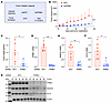 PPME1 KD impairs tumor initiation and growth.