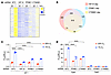 HIF-1, PPME1, and β-catenin are required for a broad transcriptional respon