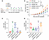 PPME1-KD suppresses tumor growth through CXCL10-driven CD8+ T cell recruitm