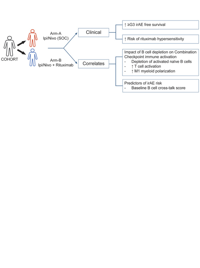 graphical abstract