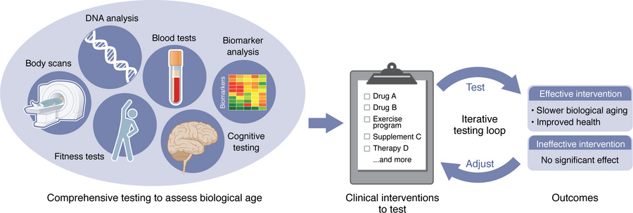 Conceptual framework for BA-guided intervention studies.
Repeated BA ass...