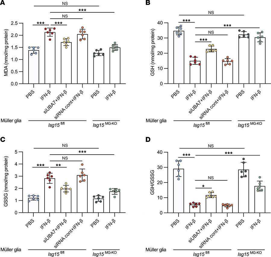ISG15/ISGylation promotes IFN-β–induced lipid peroxidation and glutathio...