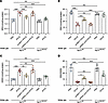 ISG15/ISGylation promotes IFN-β–induced lipid peroxidation and glutathione