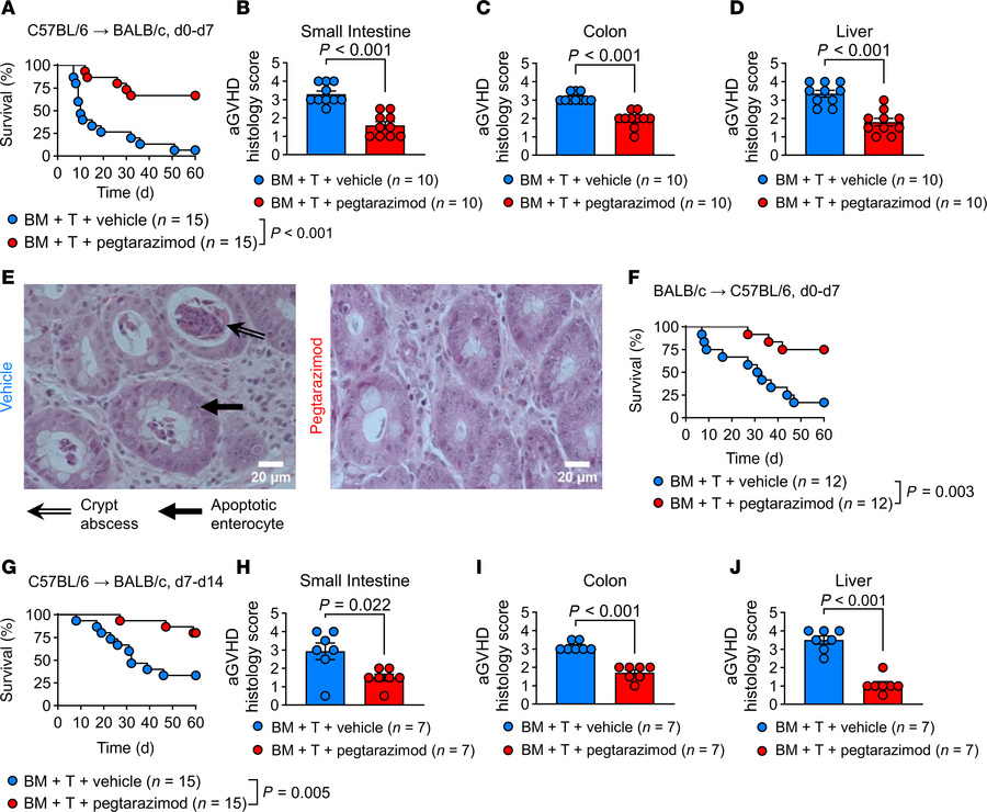 Pegtarazimod improves survival and histopathology in aGVHD.
(A) Percenta...
