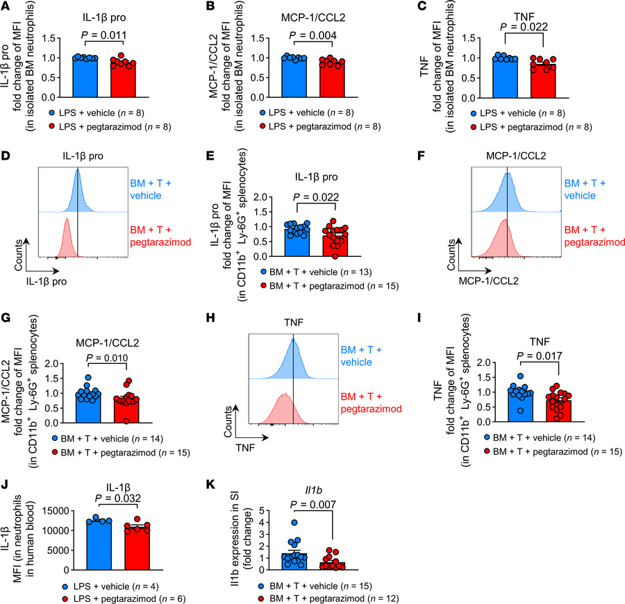 Pegtarazimod suppresses neutrophil inflammatory cytokine and chemokine p...