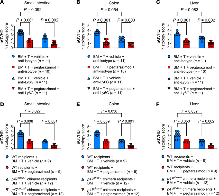 Pegtarazimod alleviates aGVHD histopathological damage independent of ne...