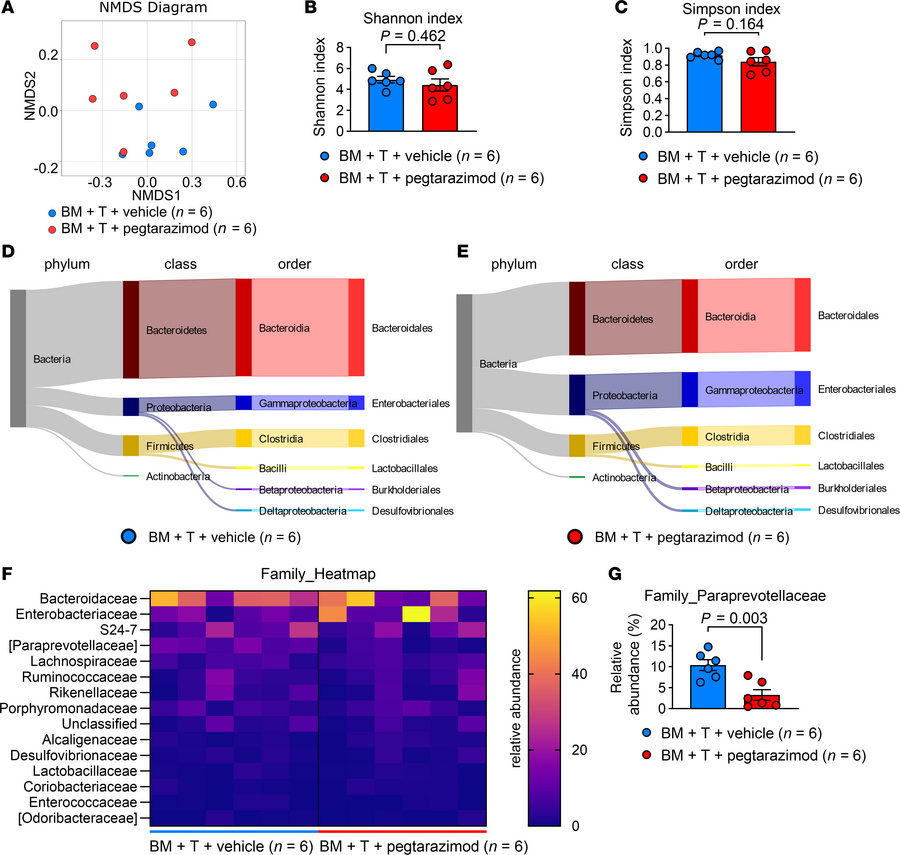 Pegtarazimod has minor effects on the intestinal microbiome of mice with...