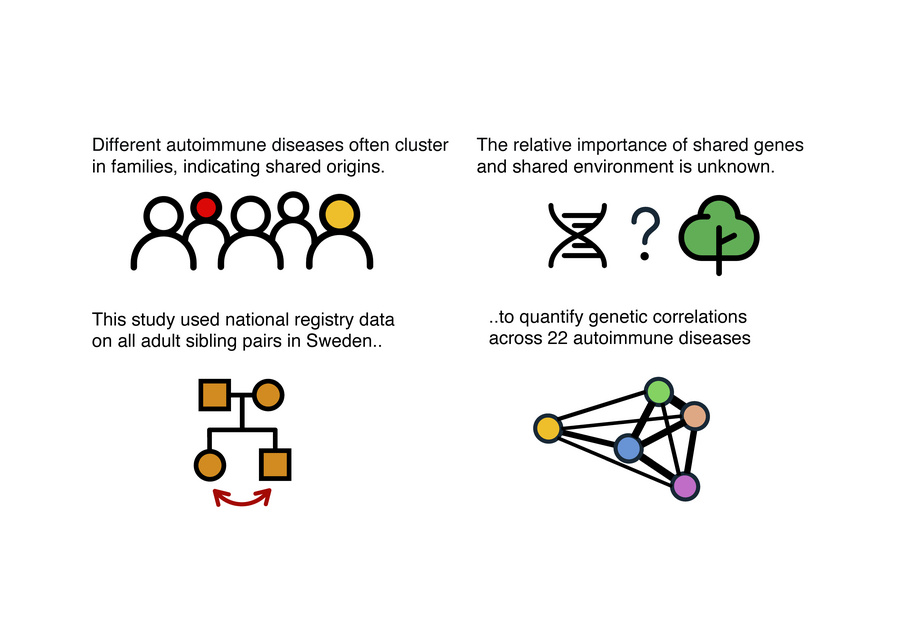 graphical abstract