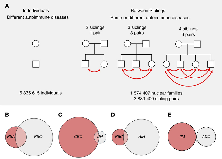 Study overview.
(A–E) Number of participants and sibling pairs (A) and e...