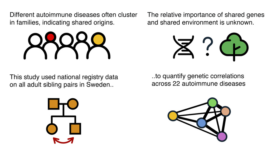 graphical abstract