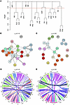 Hierarchal clustering and network analysis.