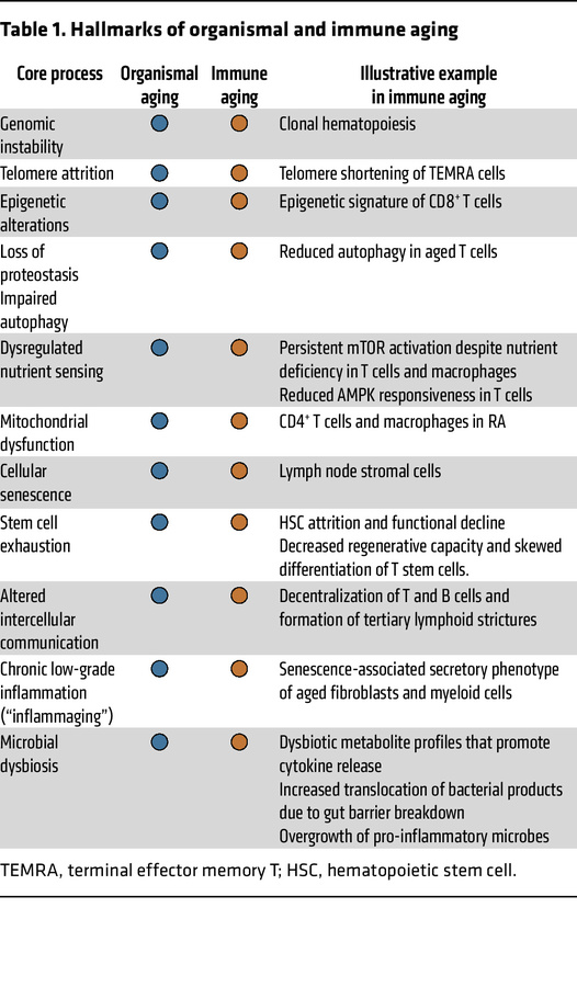 Hallmarks of organismal and immune aging