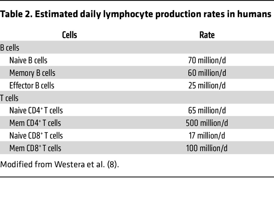 Estimated daily lymphocyte production rates in humans