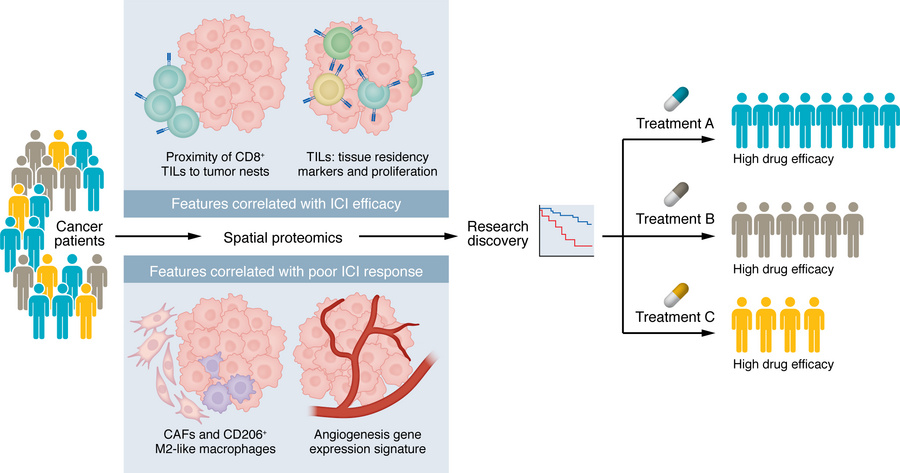 Spatial proteomics enables scientific discovery in the treatment of NSCL...