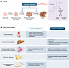 Dysregulated neddylation modification in human diseases.
