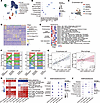 Metabolic stress selectively activates endothelial cGAS/STING signaling dur