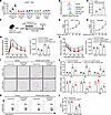 PA impairs Treg-mediated immunosuppression via CREBZF upregulation.