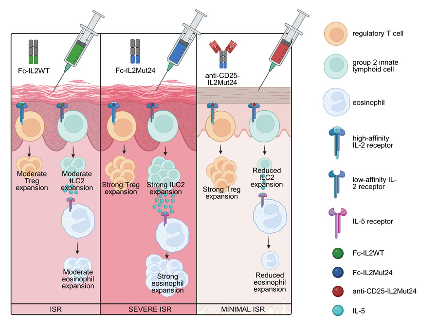 graphical abstract