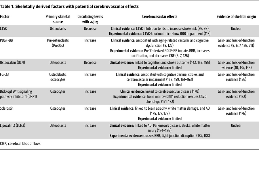 Skeletally derived factors with potential cerebrovascular effects