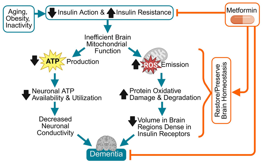 graphical abstract