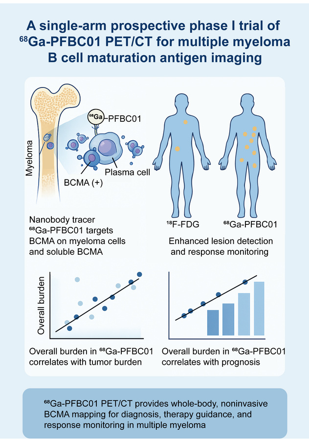 graphical abstract