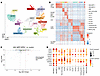 DPP9 deficiency in hCD34+ HSPCs does not result in drastic transcriptional