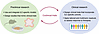 Bridging preclinical and clinical frameworks to accelerate ILC therapeutics