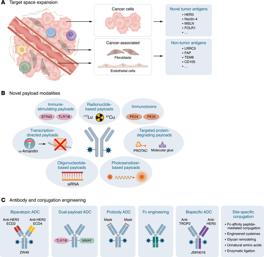 Future generations of ADCs in breast cancer.
Next-generation ADC develop...