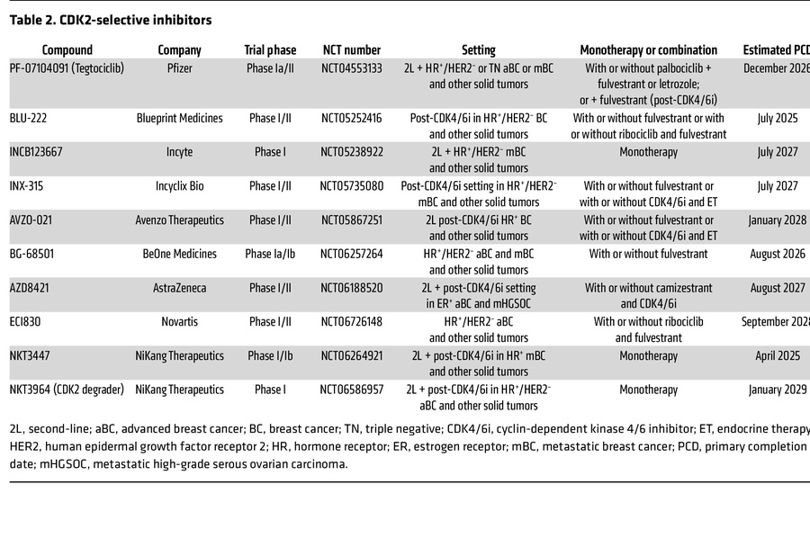 CDK2-selective inhibitors