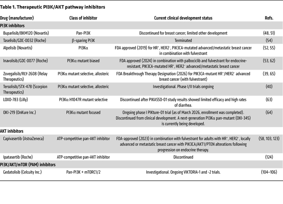 Therapeutic PI3K/AKT pathway inhibitors