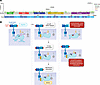 Landscape of PIK3CA mutations and their predicted functional consequences.
