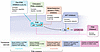 PI3K/AKT/mTOR signaling pathway inhibitors and their sites of action.