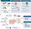 Gut microbiome modulators across the HT continuum and microbiome-targeted t